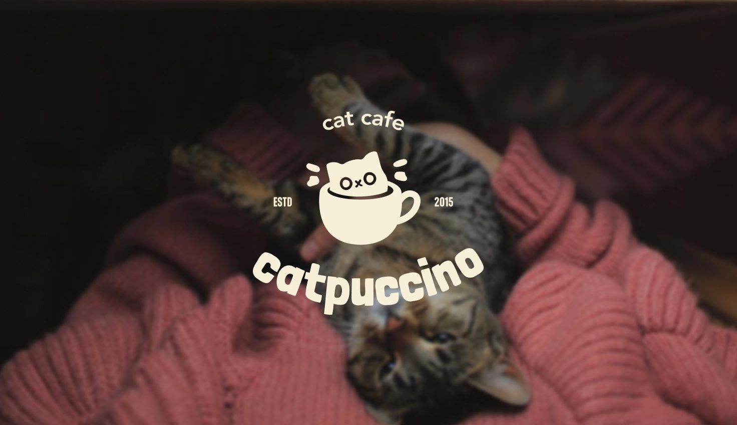 Catpuccino Cat Cafe